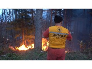Orman yangını kontrol altına alındı
