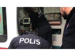 Lodosta devrilen ağacın altında kaldı