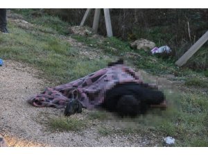 Boğuldu mu intihar mı etti?