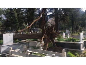 İnegöl’de ağaçlar devrildi, birçok mezar zarar gördü