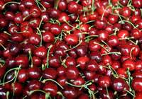 Kanı temizleyen doğal ilaç