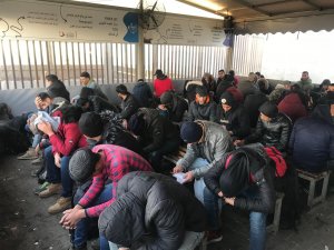 Edirne'de 178 düzensiz göçmen yakalandı