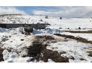 Bingöl’de trafik kazası:3 yaralı