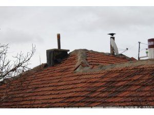 Bacada çıkan yangın paniğe neden oldu