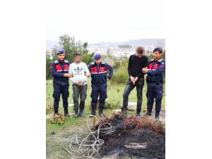 Suçüstü yapılan kablo hırsızları serbest kaldı