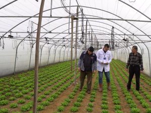 Büyükşehir’den çiftçilere yüzde 50 hibeli sera desteği