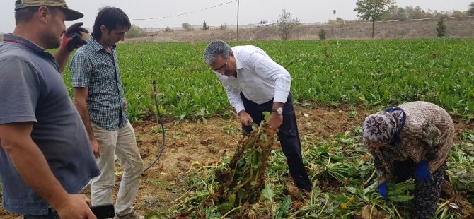 Konya Şeker’den üreticiye 34 milyon 410 bin lira avans