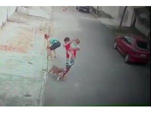 Küçük çocuğu pitbull saldırısından kurtaran genç kahraman ilan edildi