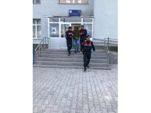 İl Jandarma Komutanlığı’ndan terör operasyonu: 1 gözaltı