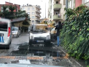 Park halindeki araç alev topuna döndü