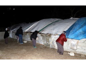 Erzincan’da fırtına çatıları uçurdu, ağaçları kökünden söktü