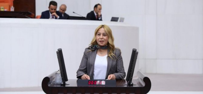 MHP’li Esin Kara’dan Bakan Pakdemirli’ye soru önergesi