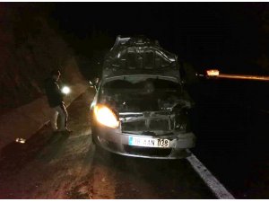 Yola fırlayan domuza çarpan otomobil kullanılamaz hale geldi