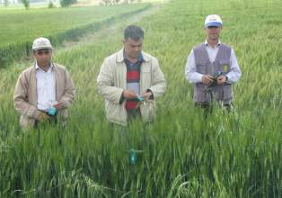 Yunak'ta süne mücadelesi tamamlandı