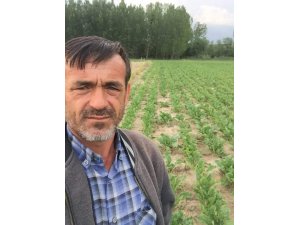 ’Kocan gözaltında’ yalanı ile 7 bin lira dolandırdılar