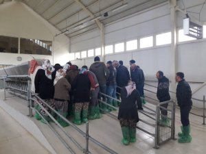 Demirci’de sürü yönetimi elemanı kursuna yoğun ilgi