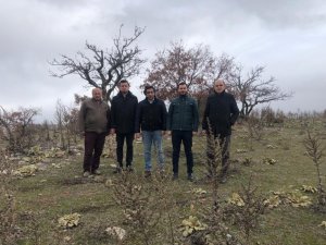 Bakan Pekcan müjdeyi vermişti, 34 firma başvuru yaptı