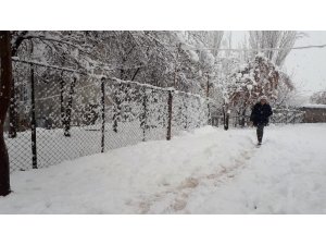 Şırnak'ta kar yağışı hayatı olumsuz etkiledi