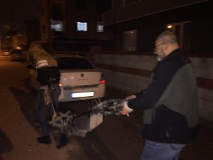 Ev değil sanki tamirhane