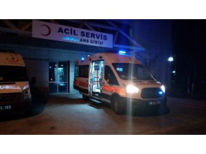 Anne ve oğlu mantardan zehirlendi