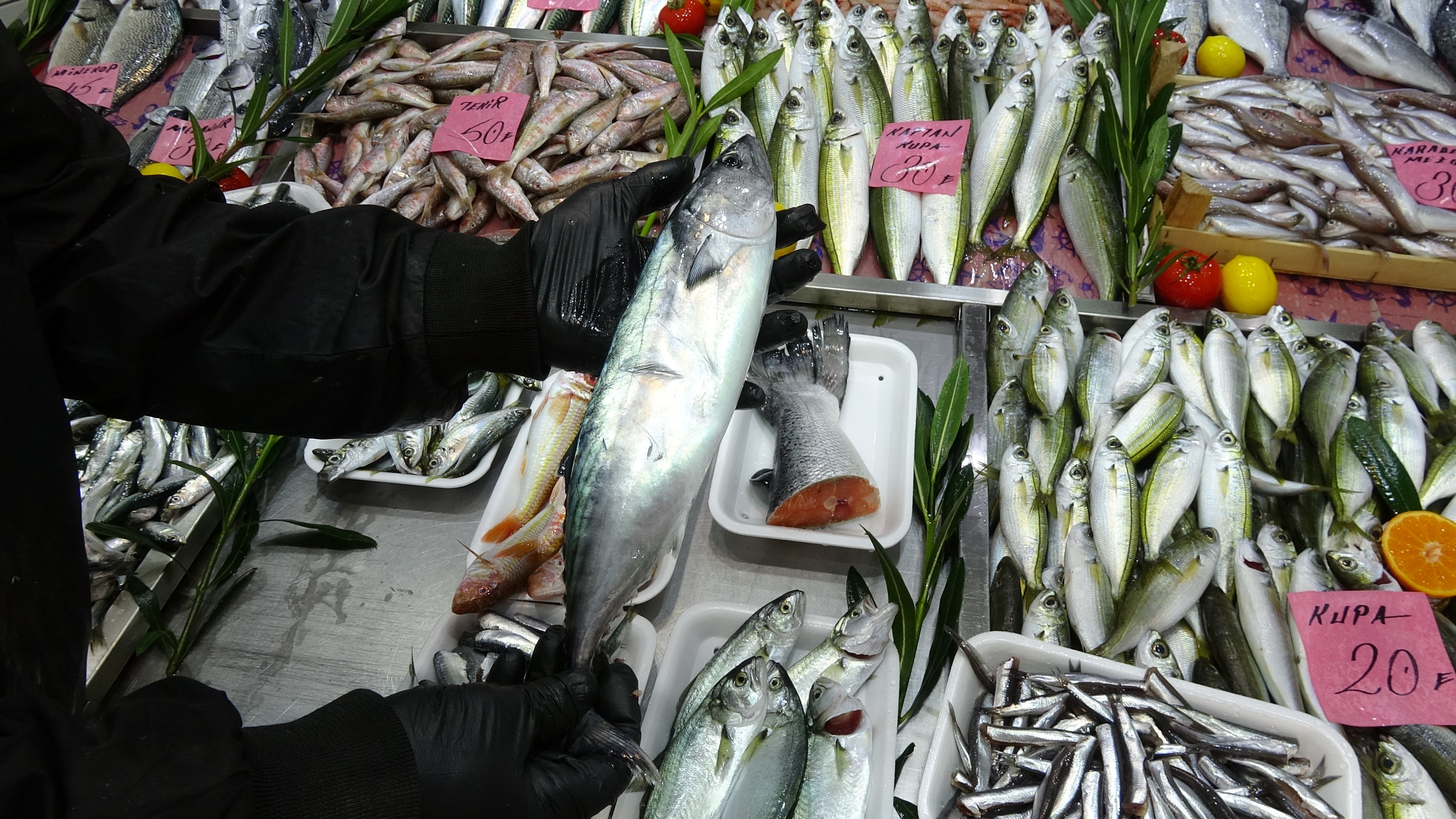 2019 yılı balıkçıların yüzünü güldürmedi