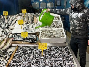 Balık bu sezon yüz güldürmedi