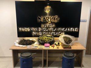 Bursa'da ağaçlık alanda uyuşturucu saklayan iki şüpheli tutuklandı