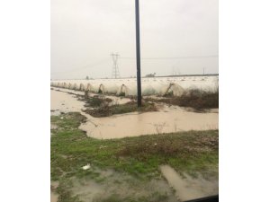 Tarsus’ta ekili araziler sular altında kaldı