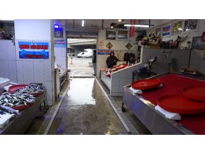 Balıkçı esnafının gözü Gürcistan’dan gelecek hamside