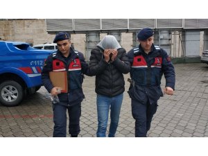 Kamyonda bonzai ile yakalandı
