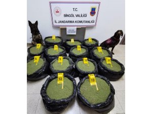 Bingöl’de jandarma, 202 kilo toz esrar ele geçirildi