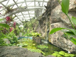 Tropikal Kelebek Bahçesi 1 Şubat'a kadar bakıma giriyor