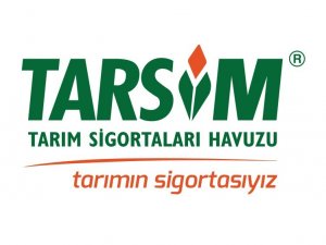 Yangın bölgelerinden TARSİM'e yapılan hasar ihbarı sayısı 550'yi geçti