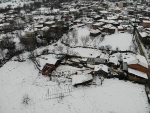 Ahırın çatısı kara dayanamadı, 50’ye yakın koyun telef oldu