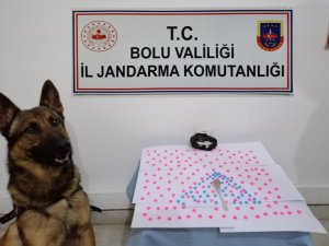 Jandarma ekiplerinden yeni yıl operasyonu