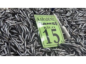 Hamsi Rusya ve Gürcistan’a kaçtı, vatandaşlar buzhane balığı tüketiyor