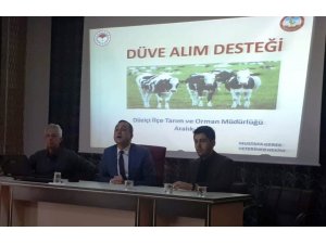 Düziçi’nde yetiştiricilere düve alım desteği bilgilendirmesi