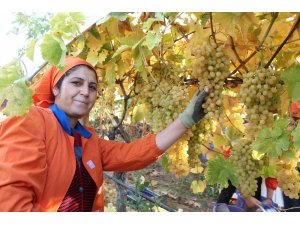 Limanı ve ülke sınırı olmayan Alaşehir’den 550 milyon dolarlık ihracat