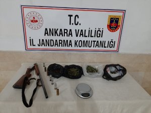 Jandarma samanlıkta saklanan esrarı narkotik köpekler yardımıyla buldu