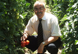 Sırık domateste de öncü olacağız