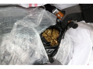 ’Maya’ ve ’Sarıkız’ minibüste 250 kilo esrar buldu