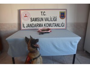 Bafra’da kubar esrar ele geçirildi