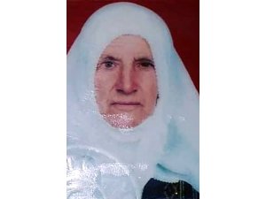 GÜNCELLEME - Elazığ'da kaybolan 88 yaşındaki kadın bulundu