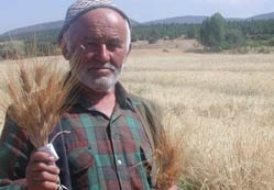 Çiftçi, havzasına göre desteklenecek