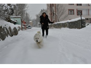 Van'da 77 kilo 473 gram eroin ele geçirildi
