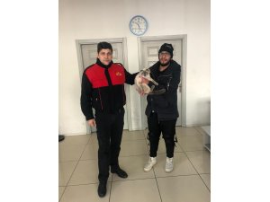 Veteriner kliniği çıkışı sahibinden kaçarak panoya saklanan ev kedisini itfaiye kurtardı