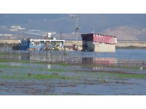 Amik Ovası’nda evler ve tarım arazileri sular altında kaldı