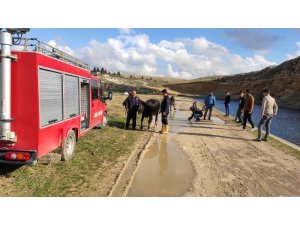 Sulama kanalına düşen ineği itfaiye ekipleri kurtardı
