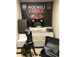 GÜNCELLEME - Kocaeli'de yolcu otobüsünde 10 kilogram eroin ele geçirildi
