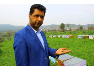 2019’u sıkıntılı geçiren arıcılar 2020’den umutlu